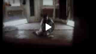 The Quiet Ones Official Movie Trailer [HD]