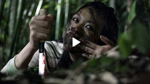 Asian Horror Movie Reviews (2013) - part 5