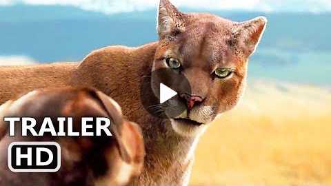 A DOG'S WAY HOME Official Trailer (NEW 2019) Adventure Family Movie HD